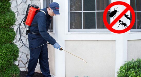 Sütçüler Uçan Haşere İlaçlama böcek ilaçlama ve haşere kontrolü — ilaclama-tr.com